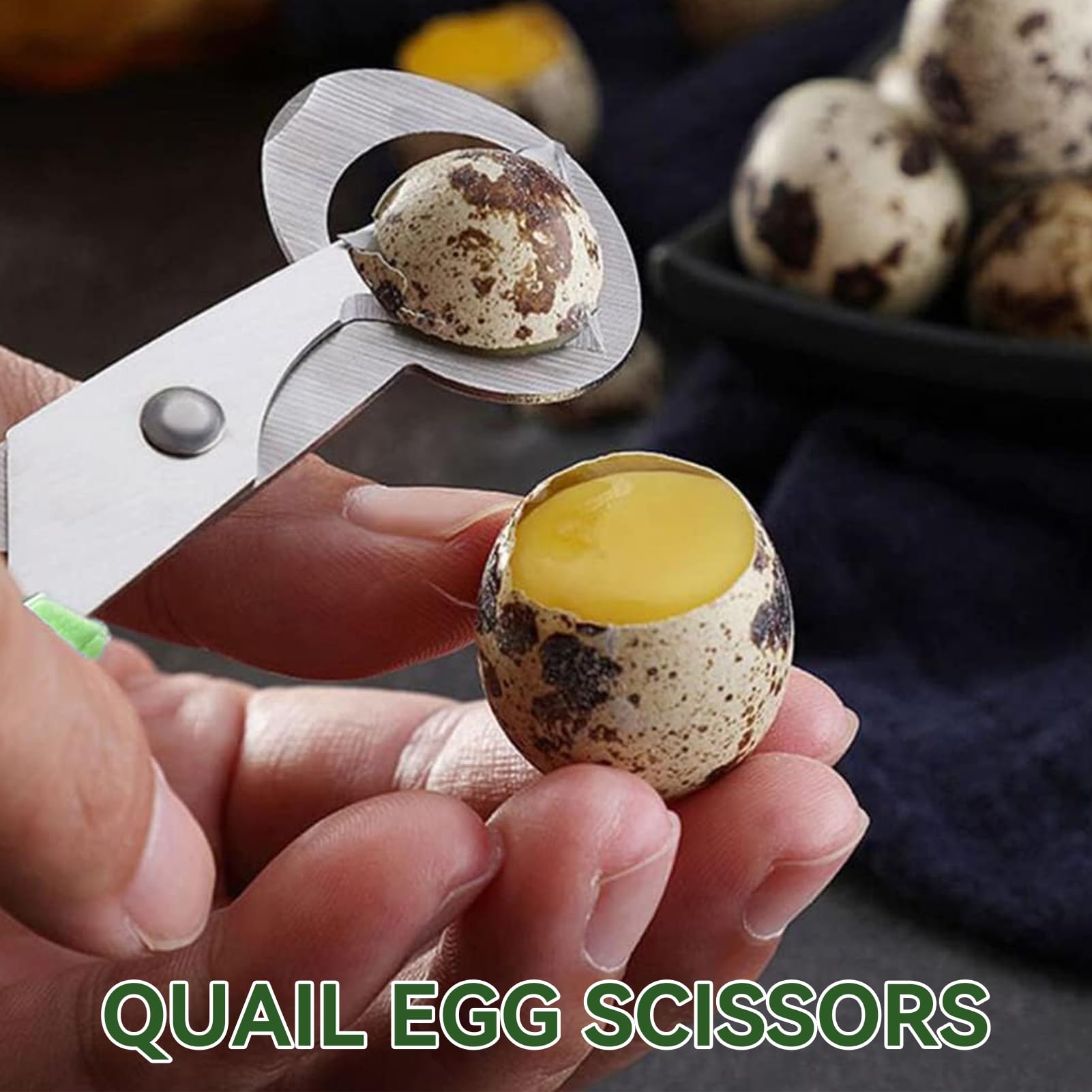 Ronyme Ciseaux à œufs En Acier Inoxydable, Casse-œufs