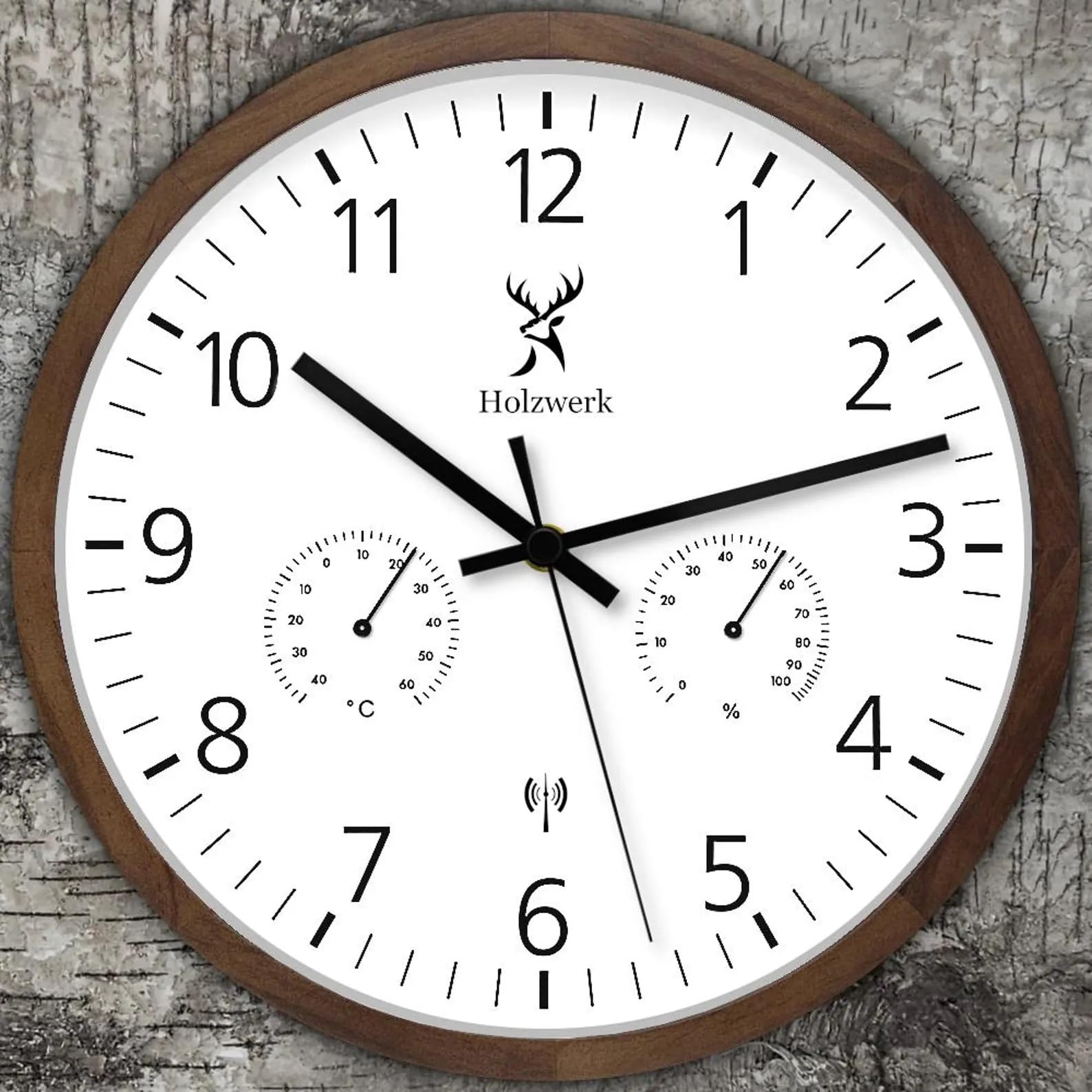 Holzwerk WEGBERG - Orologio da parete radiocomandato con indicatore di temperatura e igrometro Umidità, termometro, orologio in legno, movimento silenzioso, senza ticchettio, marrone, bianco, in legno