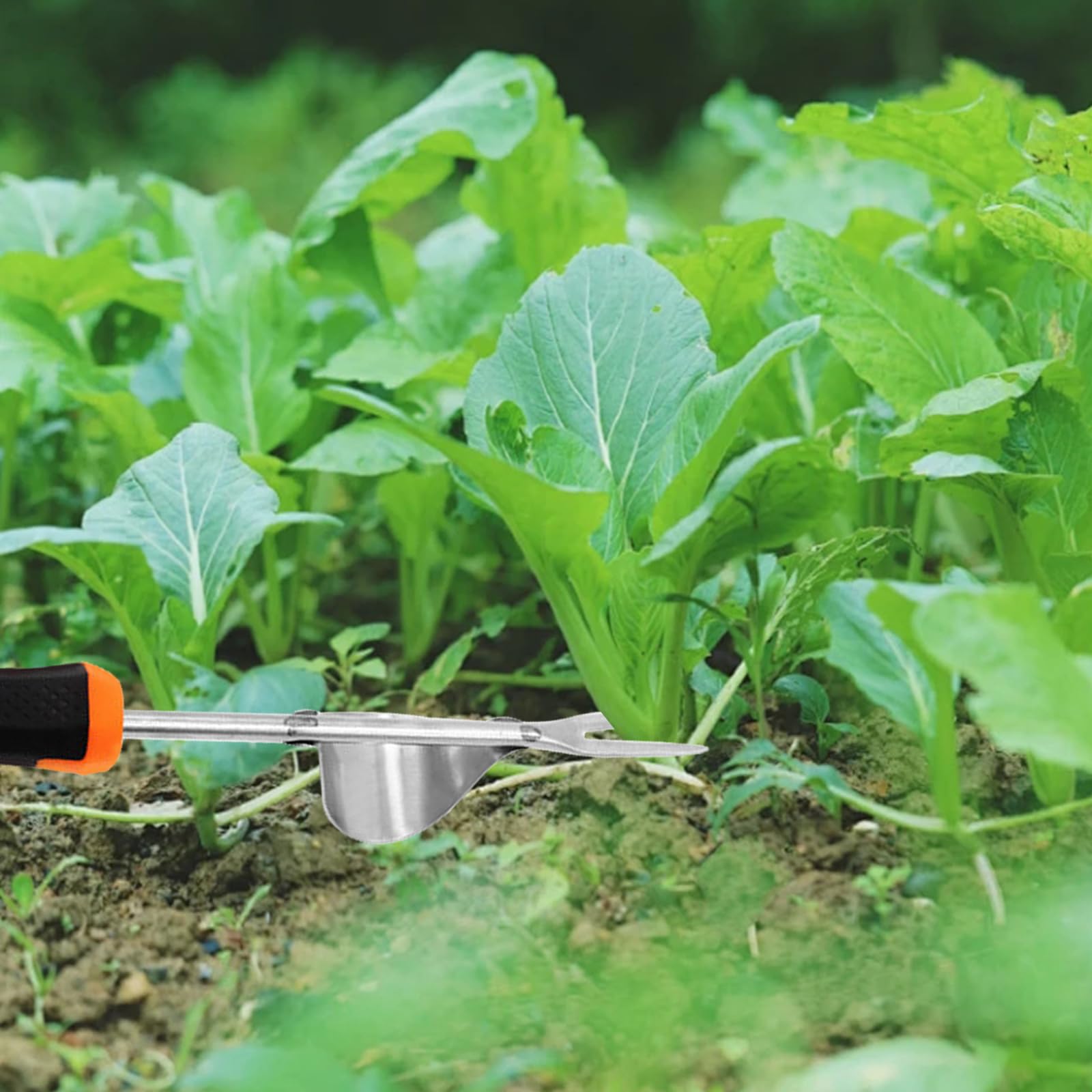 DEWINNER Estrattore Di Erbacce Manuale Con Pedale – 4 Artigli In Acciaio, Manico Lungo 100cm, Diserbante In Piedi Per Giardino