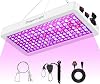 DragonLight 2025 Newest BW2000 LED Grow Lights Double Chips Full Spectrum with 3-Metre Cable for Greenhouse and Indoor Plant Veg and Flower Growing[White]