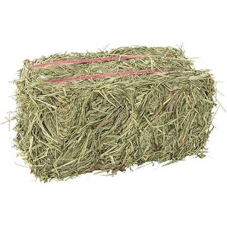 Amazon Com Grandpa S Best Timothy Hay Bale 5lbs Pet Supplies