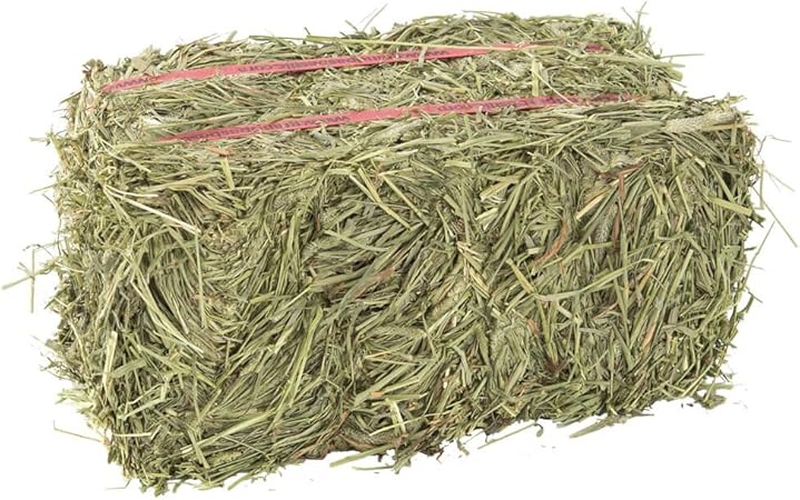 compressed timothy hay for rabbits