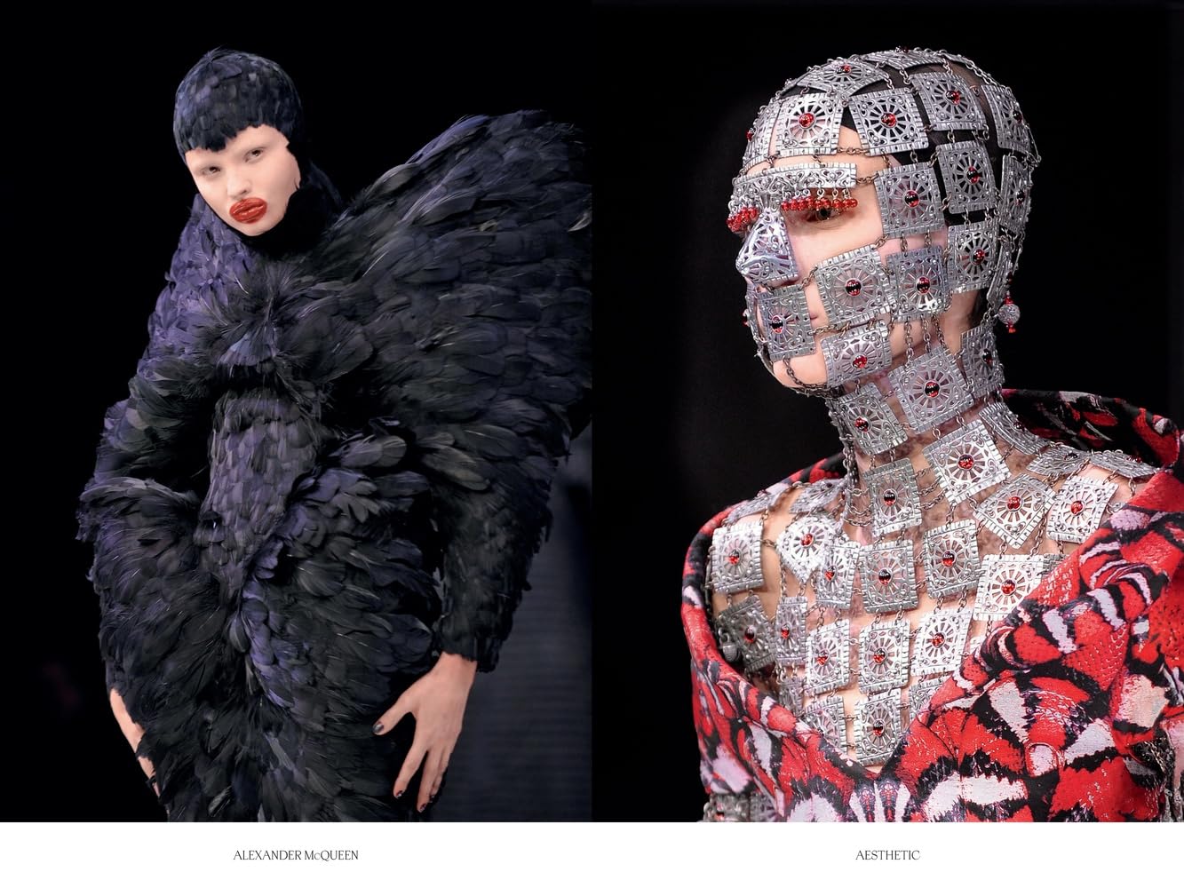 Alexander McQueen: Iconic. (The Designer Series)