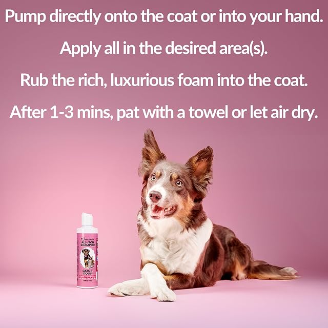Foto 6 de 6 de NutriPaw Champú sin enjuague para perros, limpia, hidrata, refresca y apoya la piel seca
