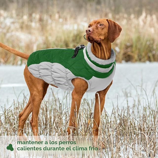 Foto 6 de 7 de Abrigo para Perros Chaqueta Impermeable