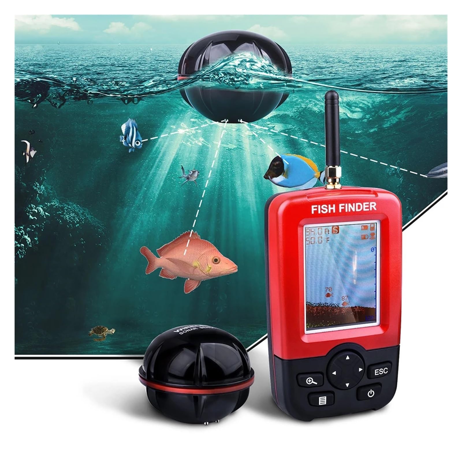 Sonar Portatile, ecoscandaglio, Esca da Pesca, trasduttore di Allarme, Pesca in Lago