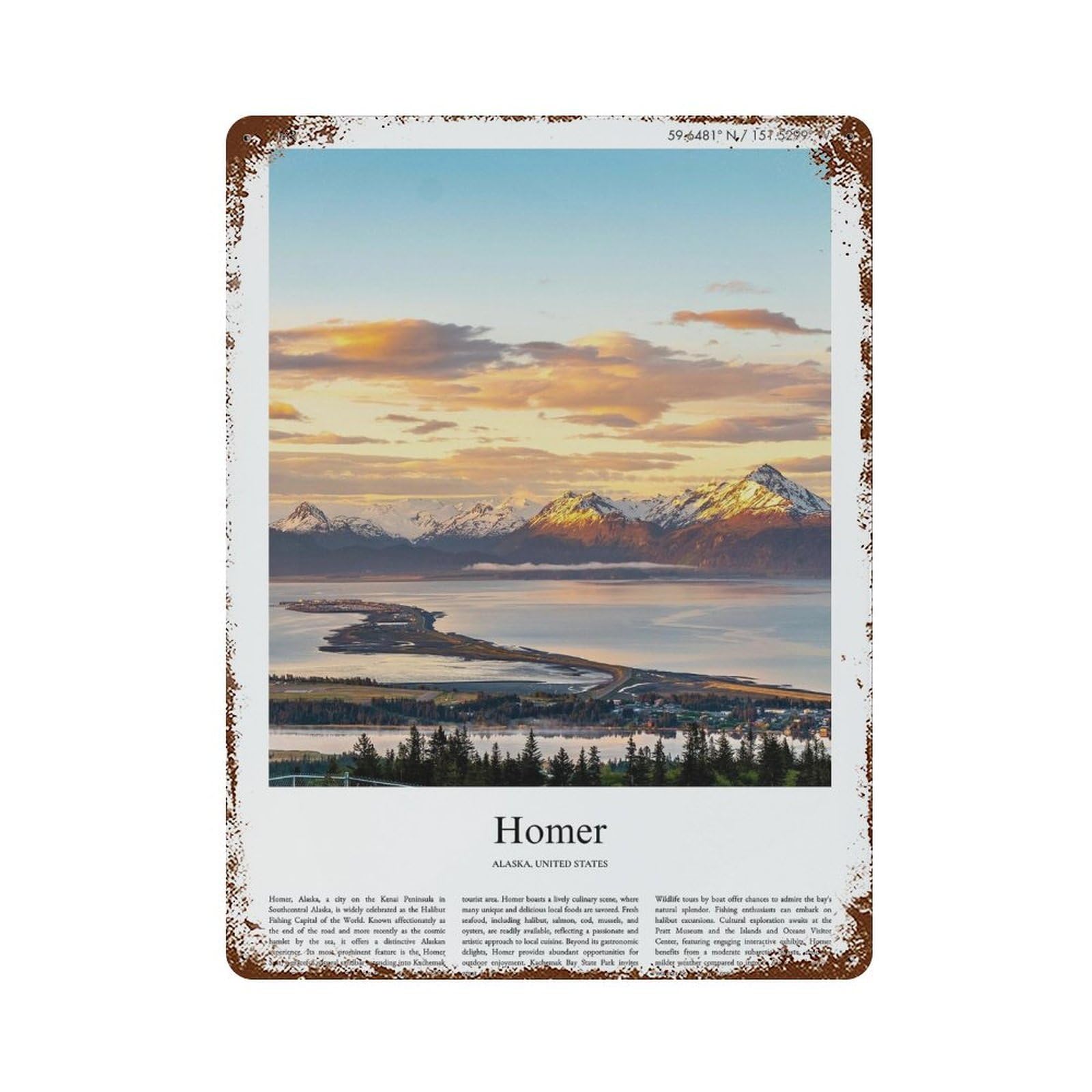 xiaoxiaoshen Homer Alaska, United States, USA City Scenery Wall Decor Art Metal Tin Poster Modern Home Decor Art Home Bar Shop Decorations Vintage Sign 40x30cm