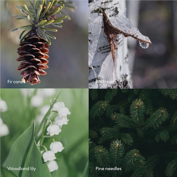 SKANDINAVISK Scent Diffuser, SKOG(Forest), 200ml