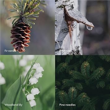 SKANDINAVISK Scent Diffuser, SKOG(Forest), 200ml