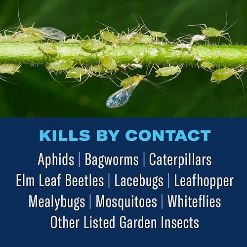 Miniatura 2 de BioAdvanced Asesino de insectos para árboles y arbustos, listo para usar, 32 onzas