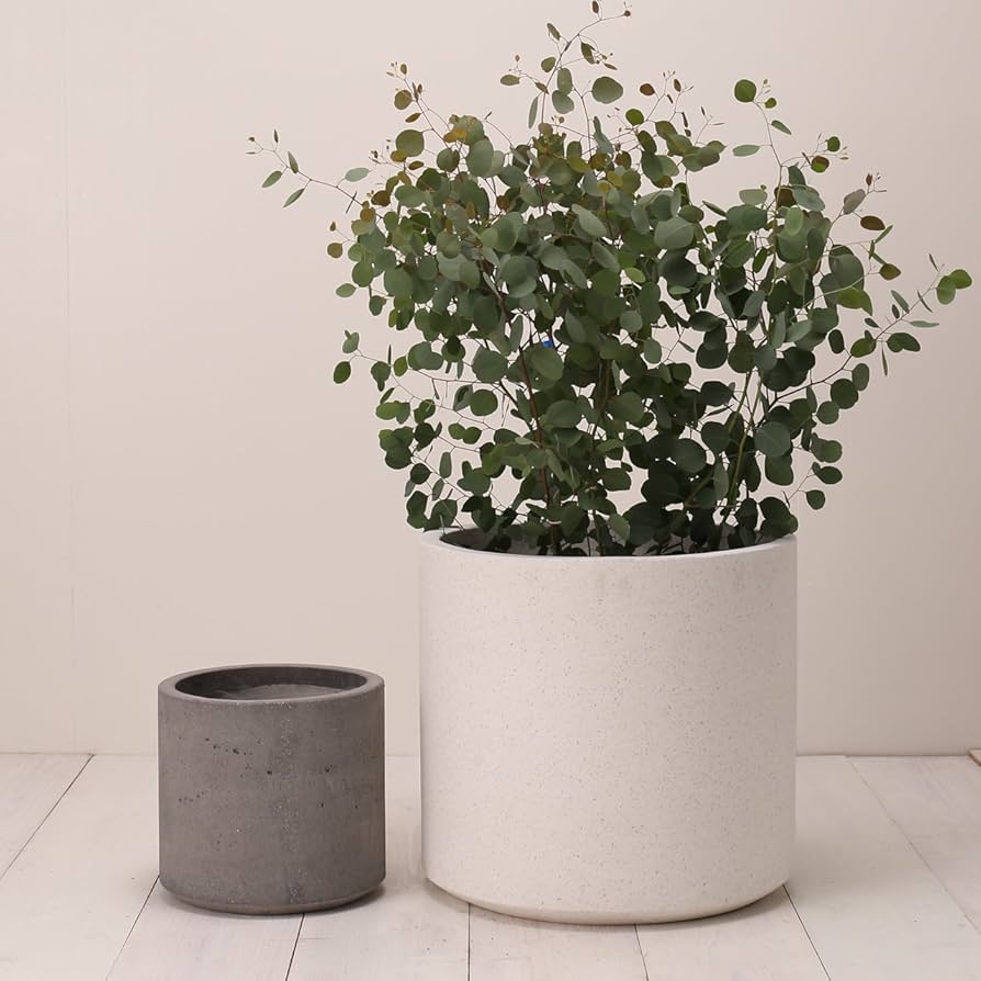 Amazon.co.jp: 植木鉢 大型 コルテス シリンド L 50 グレー