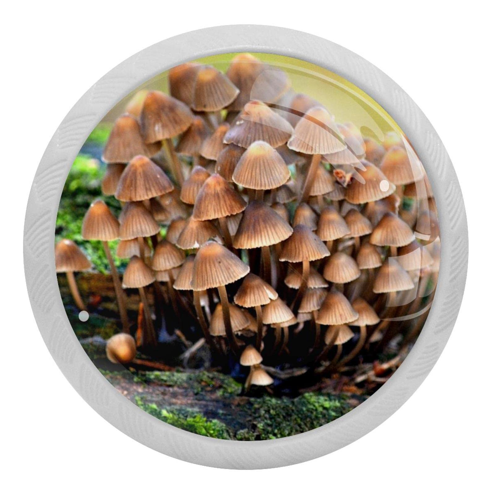 Boutons champignons sauvages en verre pour rénover facilement vos tiroirs