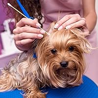 Vista 6 de Eyxformula 200 hisopos de algodón de 6 pulgadas de largo con puntas redondas dobles, palos de bambú resistentes, aplicadores de punta de algodón