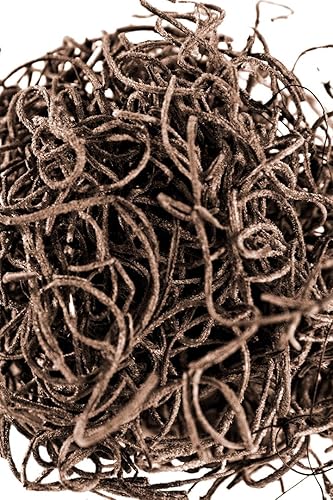 Miniatura 5 de SuperMoss Musgo Español Conservado, Coffee