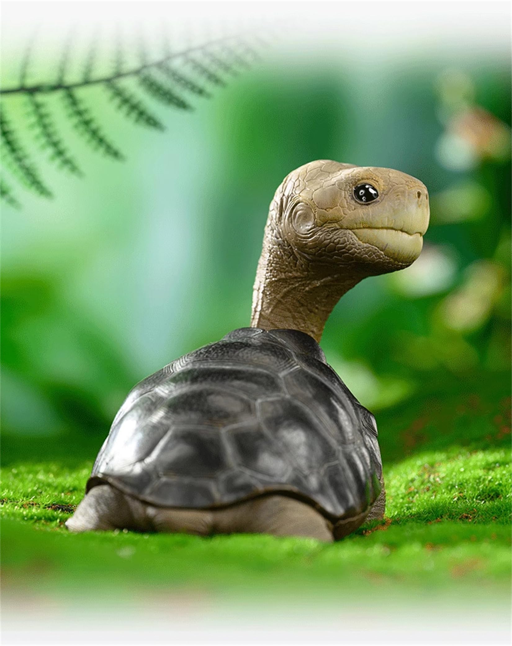 Amazon | BACALYSO | 動物惑星 ガラパゴスゾウガメ カメ 亀 12. 5CM級