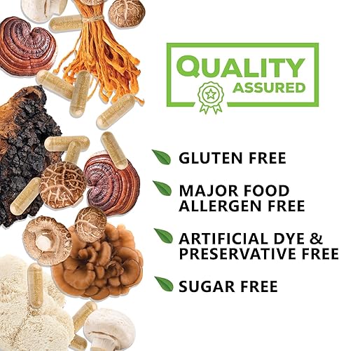 Miniatura 7 de Suplemento de hongos Nootropic 1330mg - 10 en 1 suplementos cerebrales de alta resistencia complejo de hongos con melena de león, cola de pavo