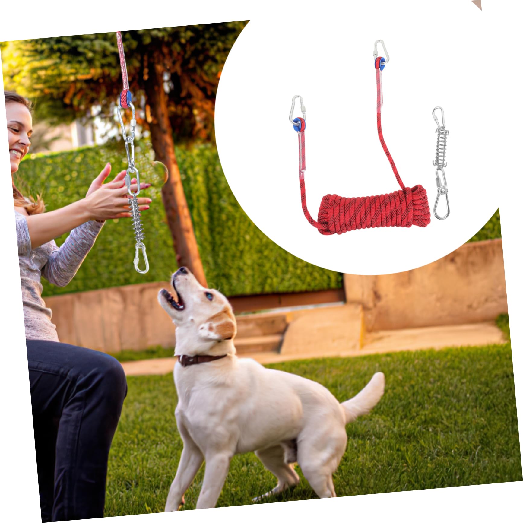 Didiseaon Correa para Perro Cable De Amarre para Perros Cuerda para Acampar para Mascotas para Camping y Actividades Resistente y para