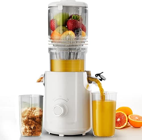 Cold Press Juicer, Juicer Machines Vegetable and Fruit with 5.3"