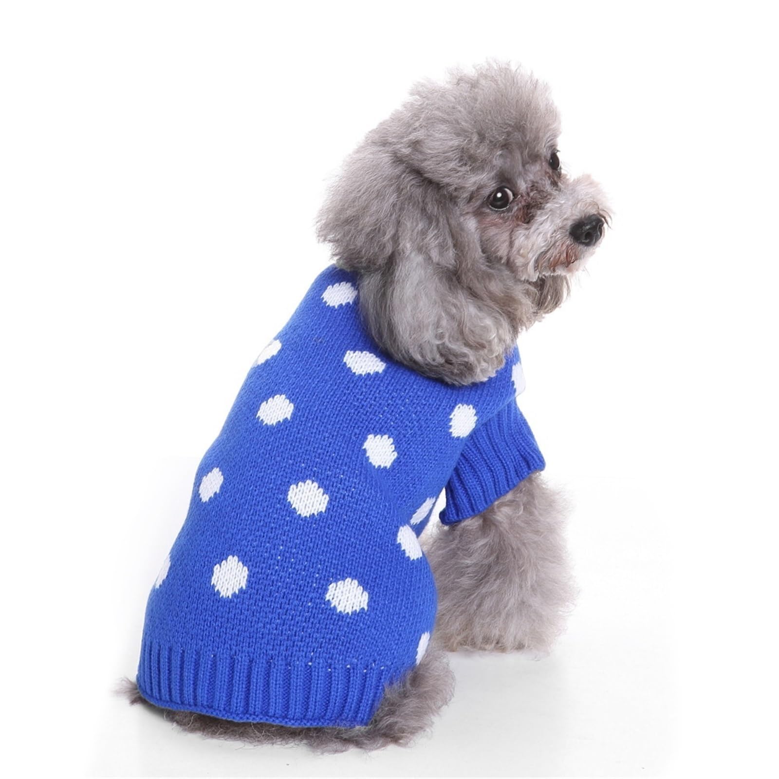 Pull de Noël chien frileux contre le froid hivernal tricot col montant L