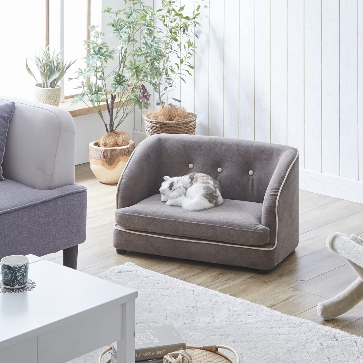 か*け様 引っかきに強いソファ Amazon.co.jp: KaguBuy トワロ ペットソファ 幅70cm ファブリック 猫