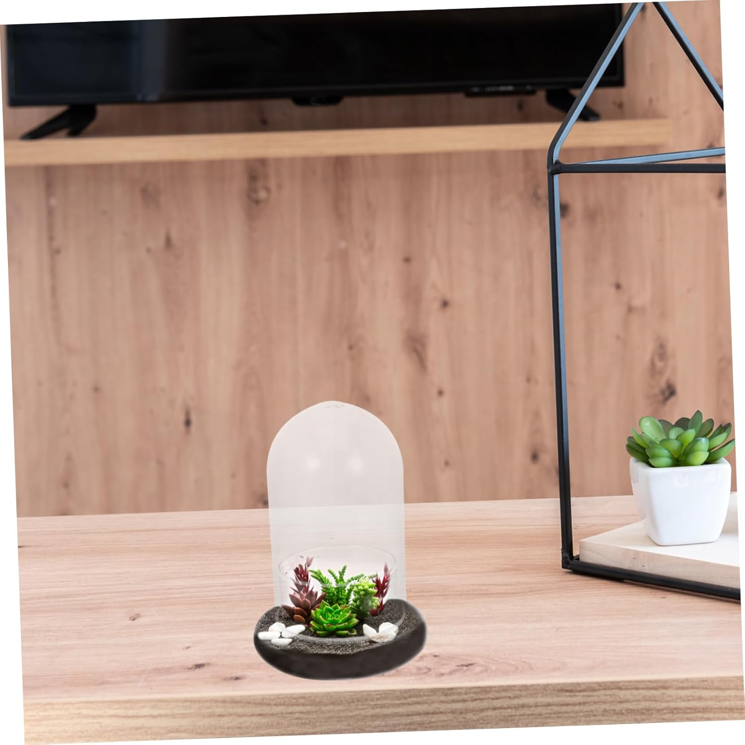 2pcs Moss Glass Bottle for Micro Landscape Decoration High Borosilicate Glass Terrarium Holder for DIY Home Decor for Miniature Plants and Ornaments