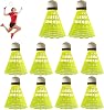 10PACK Badminton Shuttlecocks,Nylon Badminton Shuttlecocks Birdies,Bedminton Shuttlecocks for BaseballSoftball Batting Training,for Indoor Outdoor Sports Hight Speed Training Badminton Balls