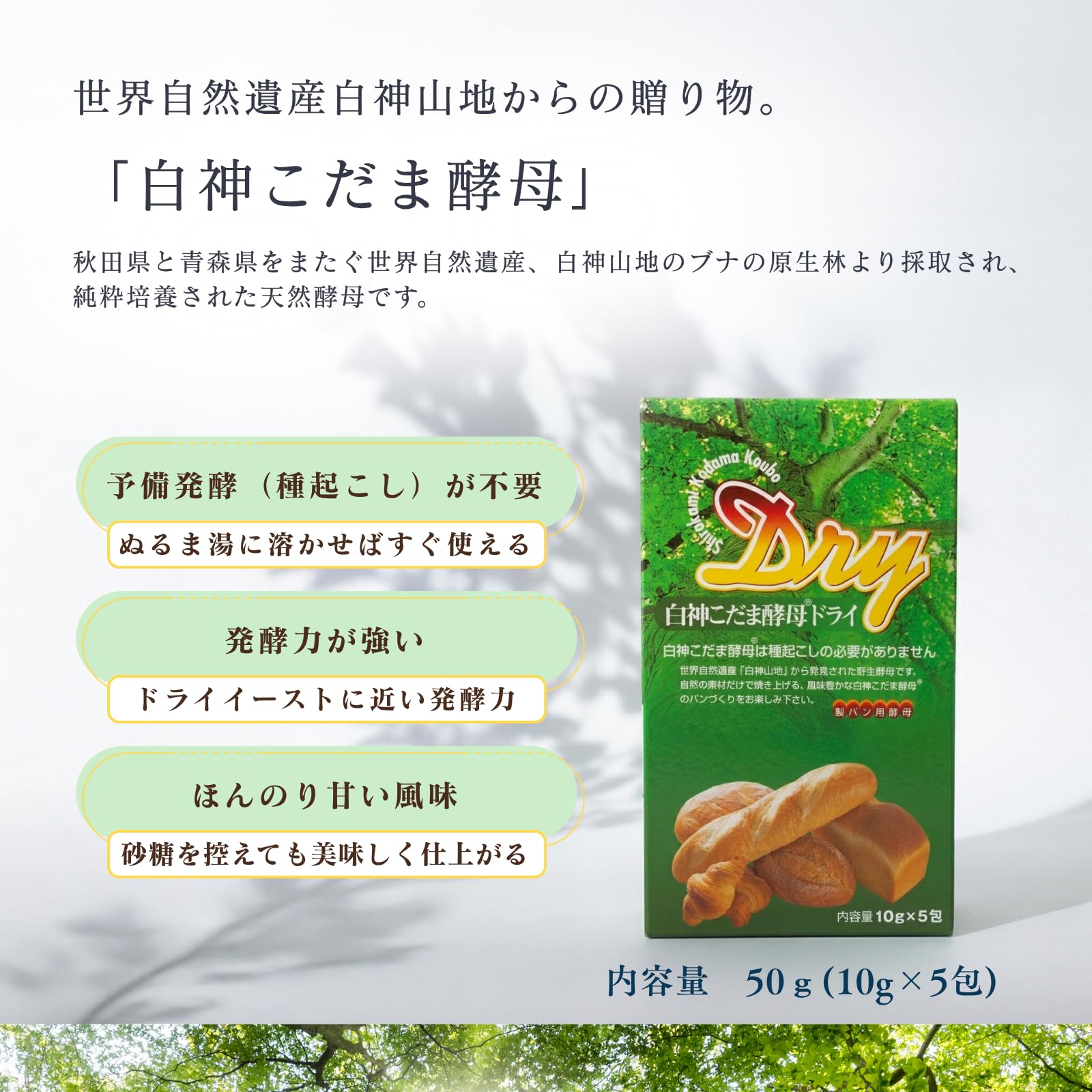 Amazon.com : Sarah Akita Shirakami Shirakami Kodama yeast dry
