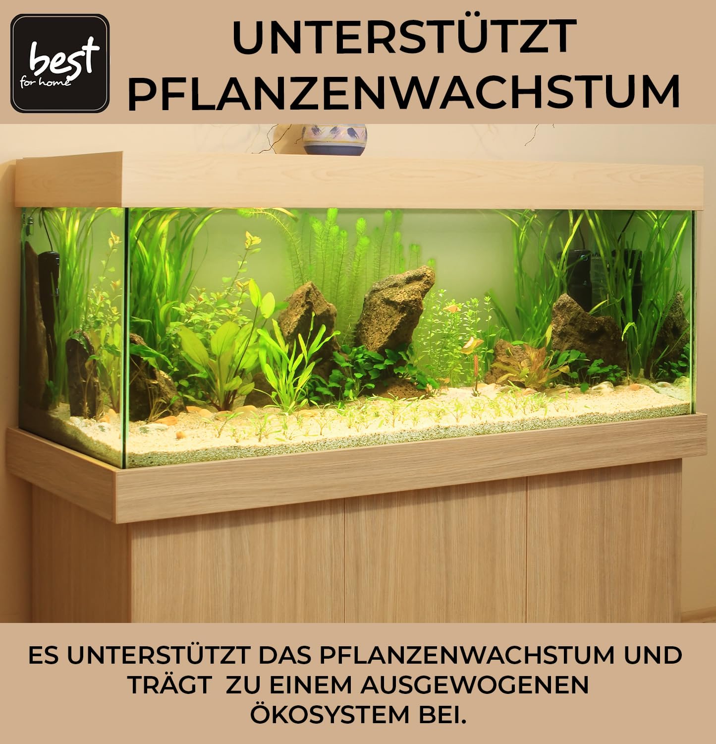 Sable de Quartz pour Aquarium – 25 kg Substrat Premium Fin Blanc – Gravier Naturel Décoratif,Idéal pour Aquariums Eau Douce & Eau Salée – Crée un Environnement Beau, Sain et Harmonieux