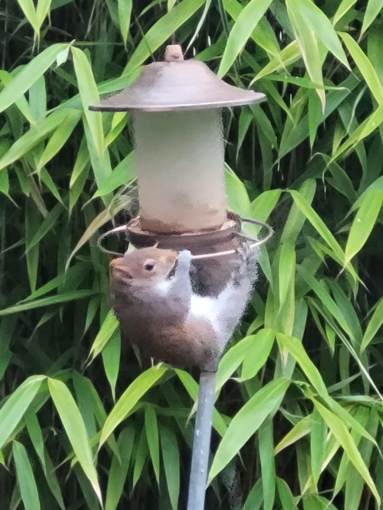 So much for hot meats