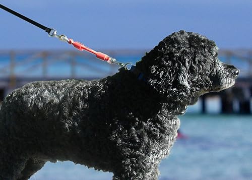 Miniatura 5 de Cuerda elástica de acoplamiento, amortiguador patentado, lo protege a ti y a tu perro, trabaja con cualquier correa y collar (o arnés), Un accesorio