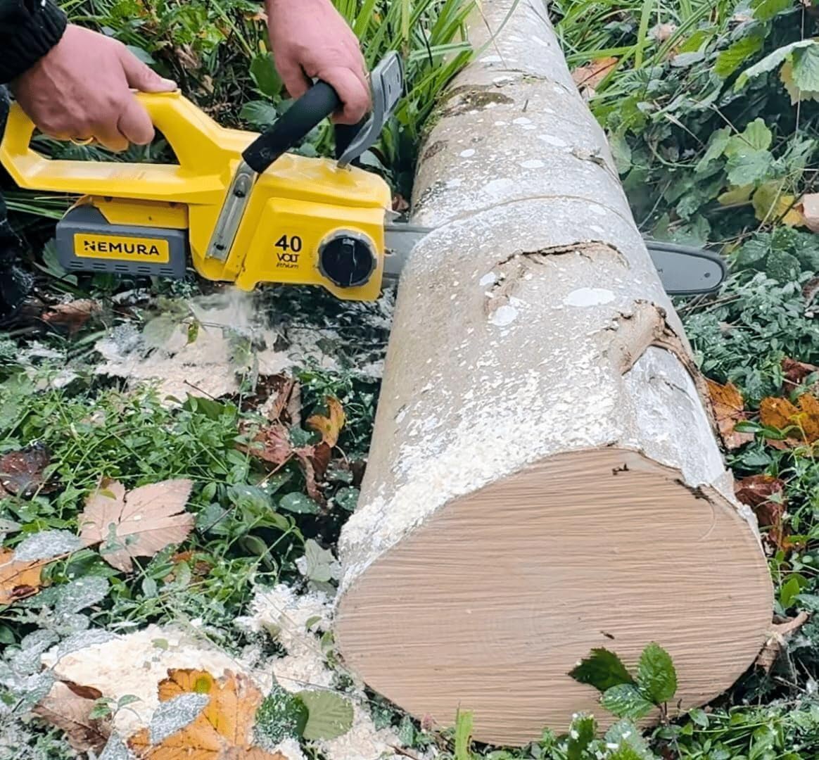 Nemura Motosega 2 batterie 4Ah - Guida 40 cm e Catena - Utensile da taglio elettrico 40V - con 2 Batterie e Caricabatterie - Motore senza spazzole - Utensili da giardino - SAC in Italiano