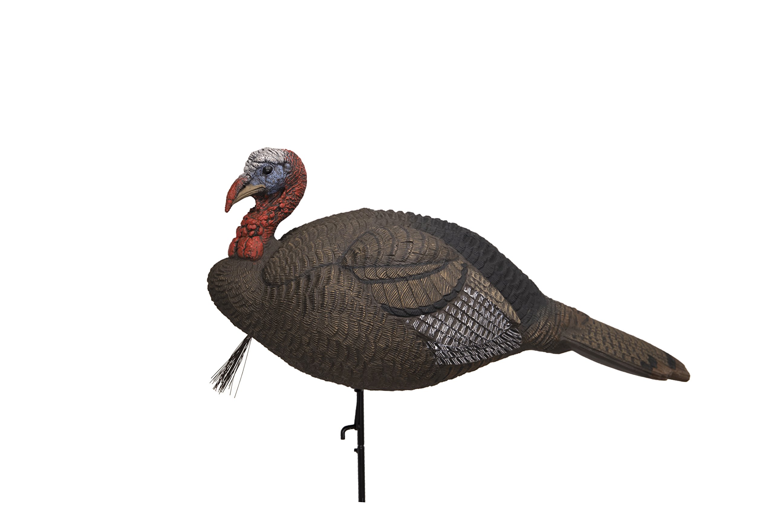 Lucky Duck - Turkey Decoys