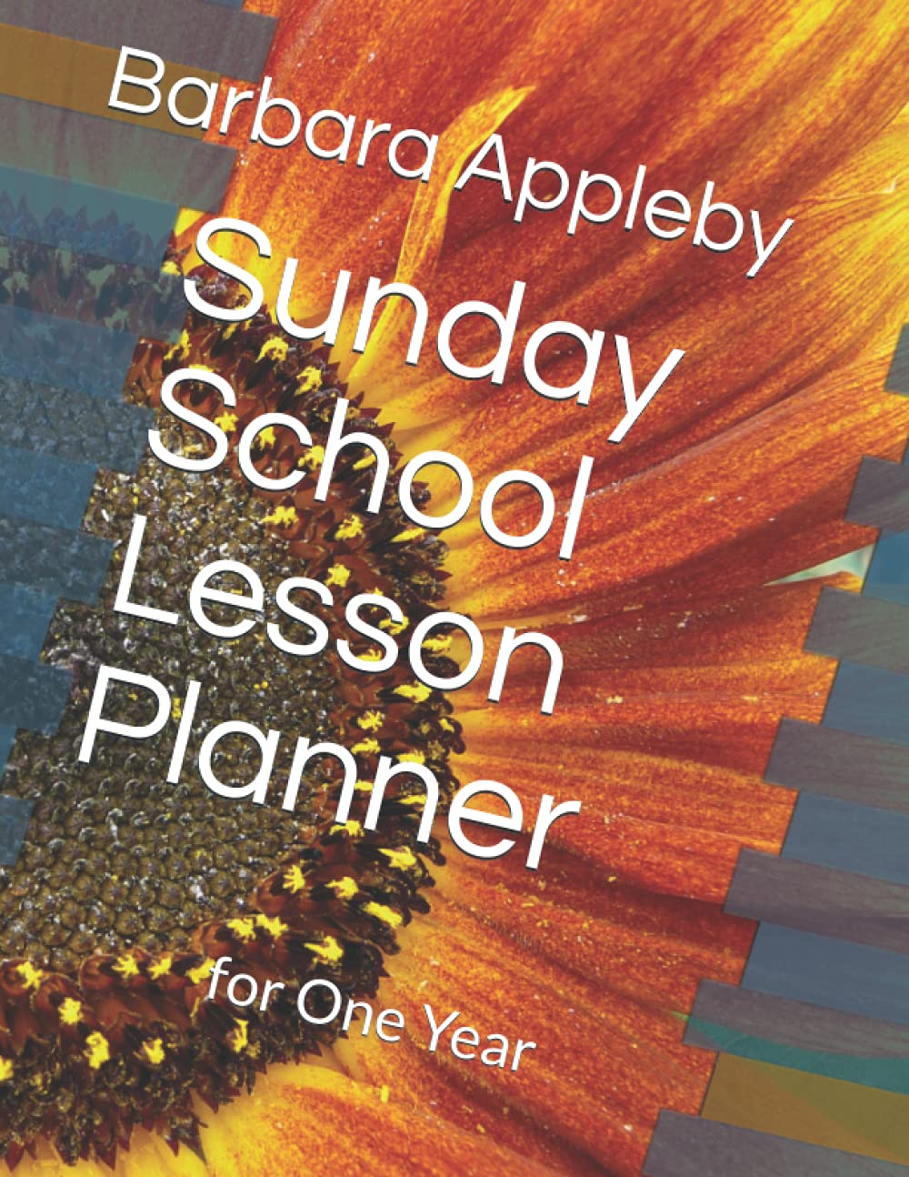 Sunday School Lesson Planner: for One Year