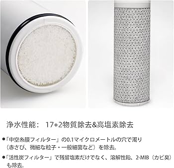 Amazon | [純正品] 翌日配達 ZSRJT173R21AC 浄水器カートリッジ（3本
