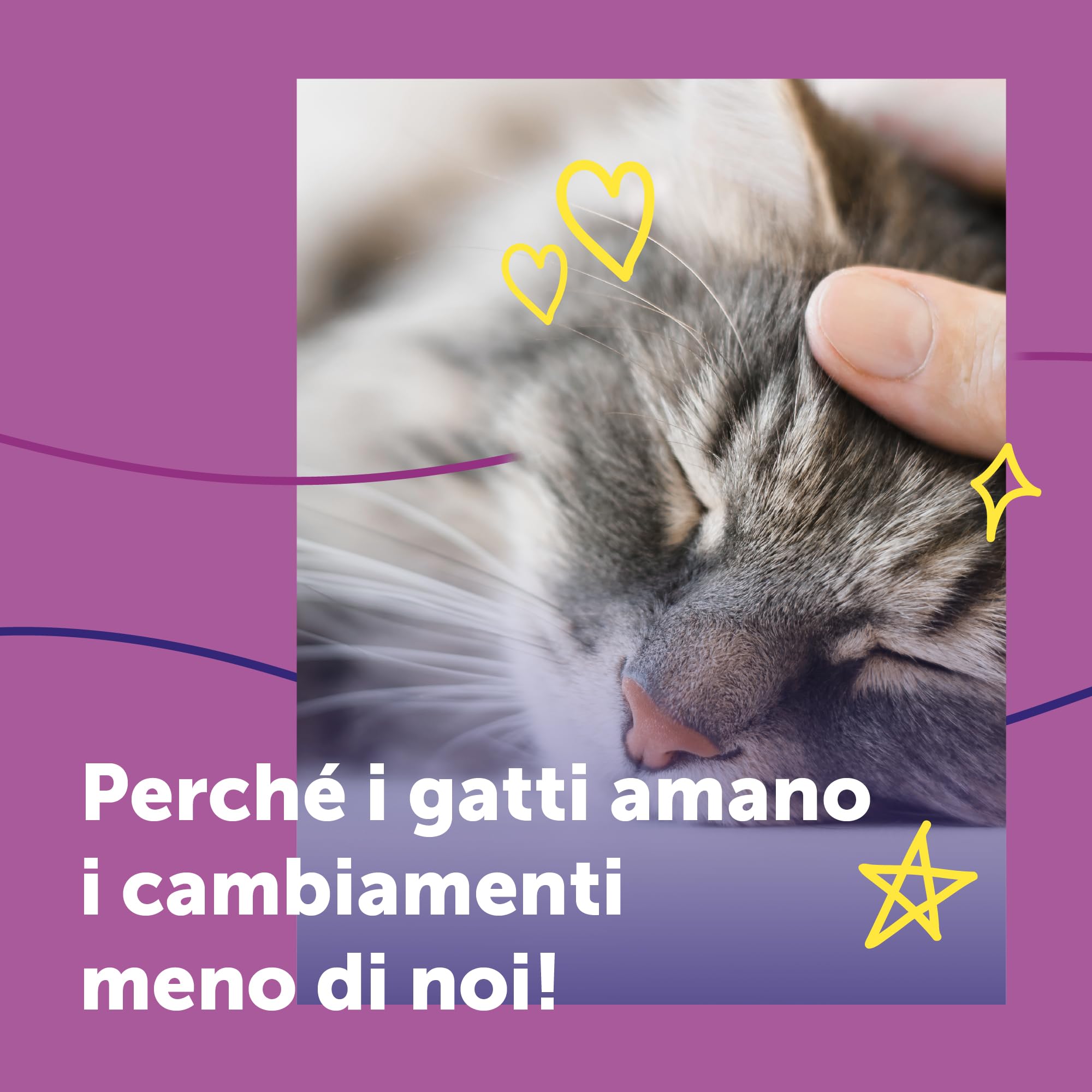 FELIWAY Help! Kit Diffusore Calmante per Gatti – 7 Giorni – Aiuta a tranquillizzare il tuo gatto ogni giorno o in occasioni stressanti. Raccomandato dai veterinari, Clinicamente testato.