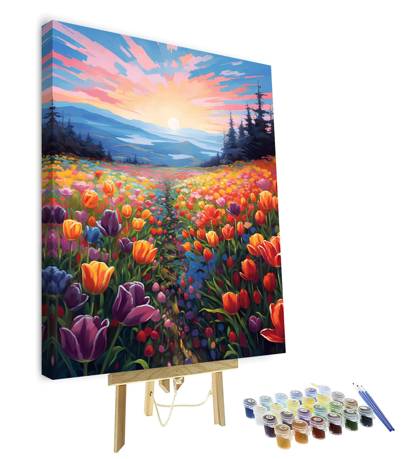 Tulip Field at Sunset Paint by Numbers, Adults Art Crafts with Frame, 16"x20"