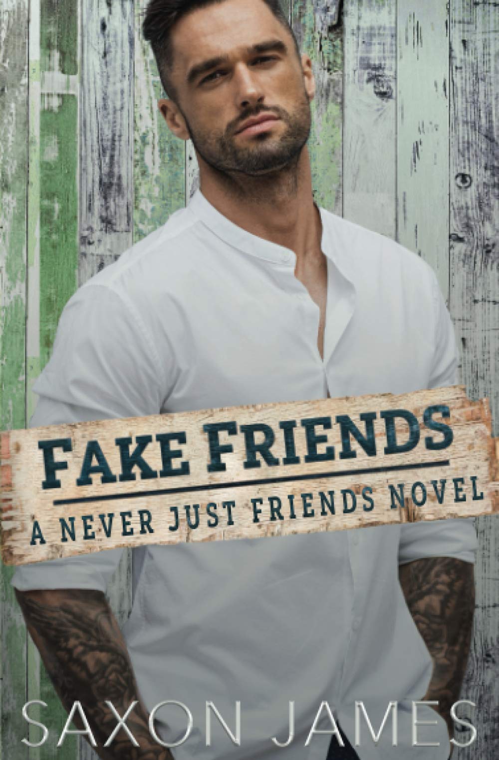 Fake Friends: 2 (Never Just Friends)