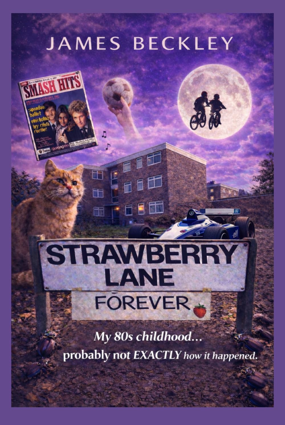 Strawberry Lane Forever