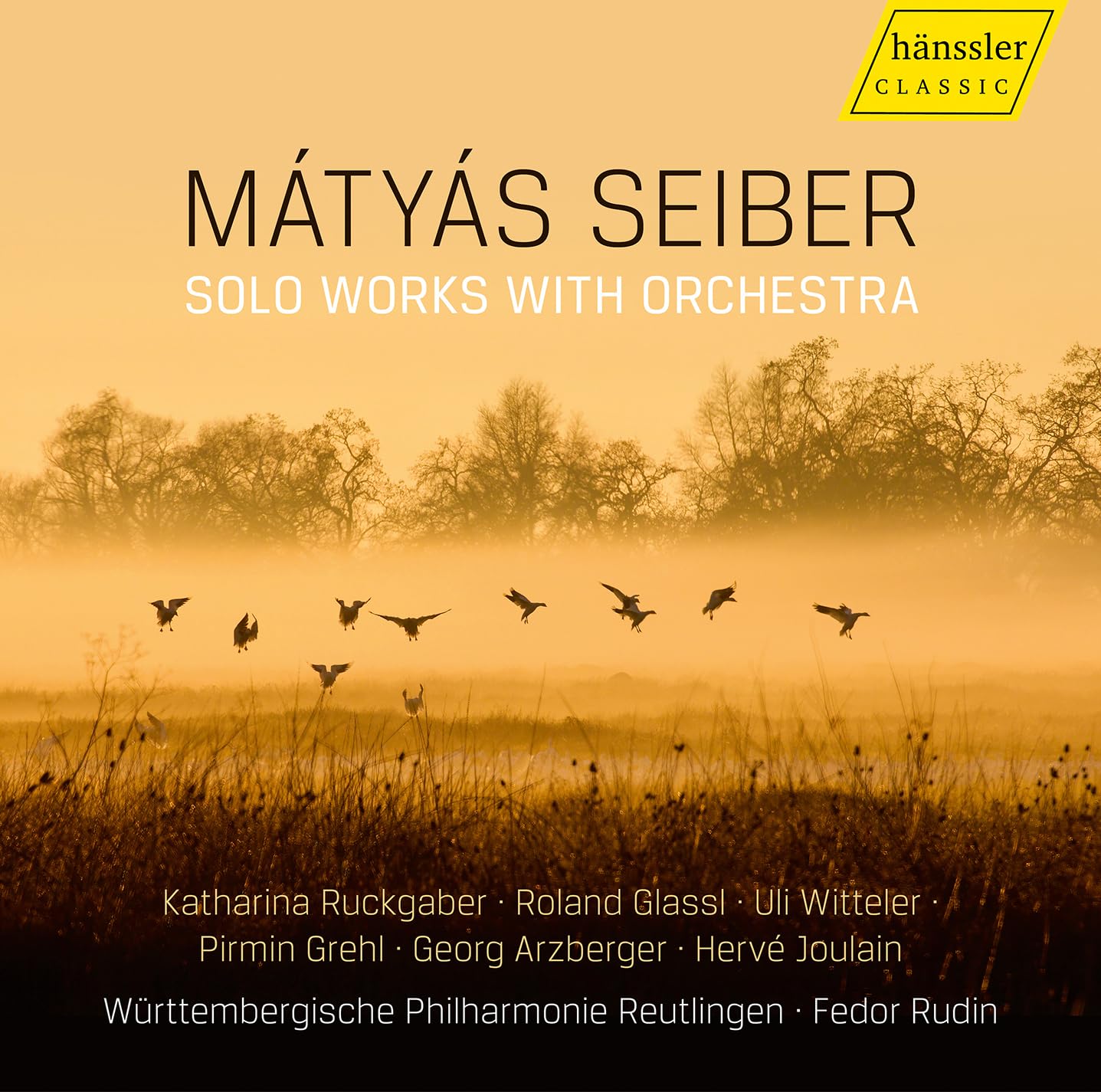 Matyas Seiber: Solo Works with Orchestra