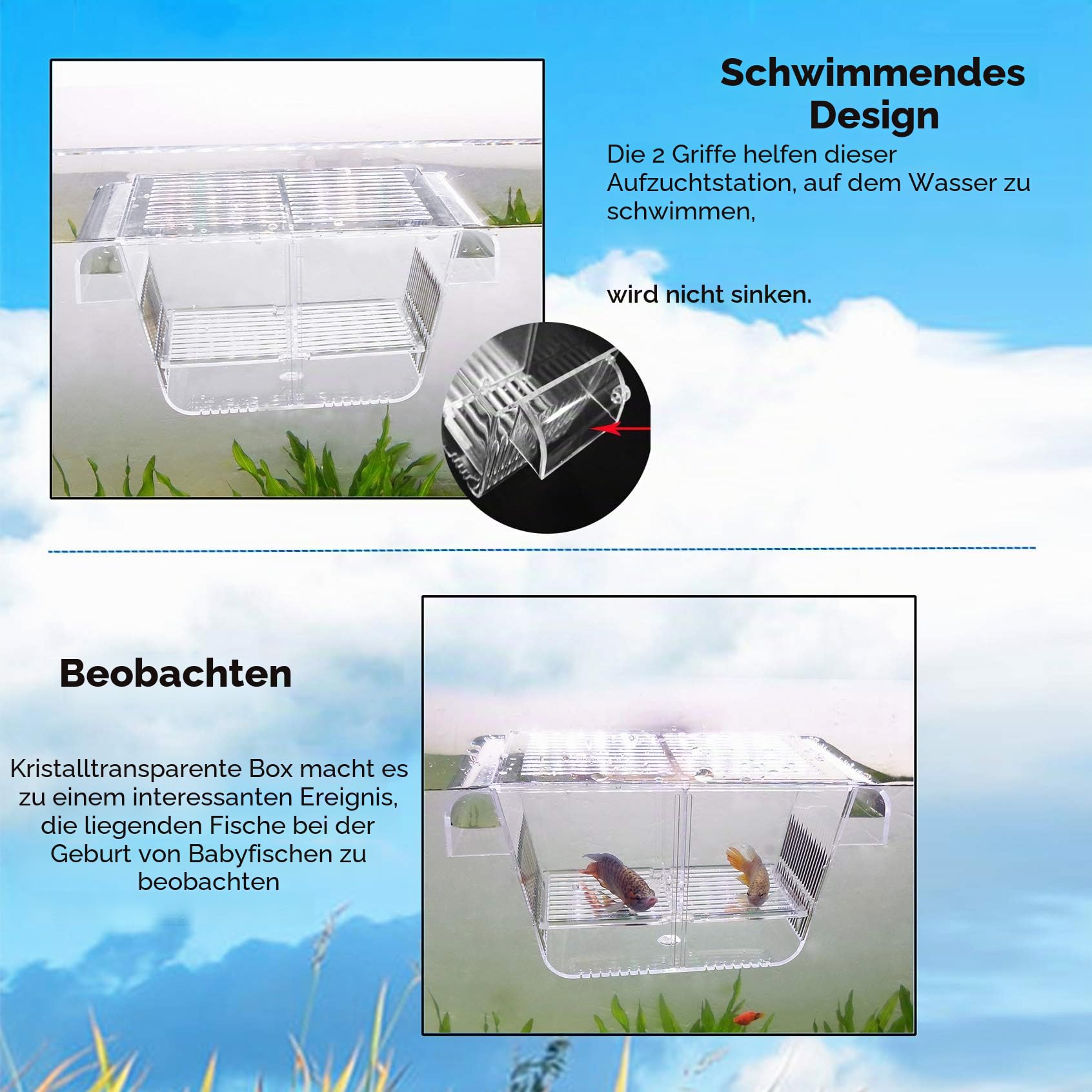 capetsma Fischzuchtkasten, Acryl Fisch-Isolationsbox mit Saugnäpfen, Brutkasten für die Aquarienanpassung für Babyfische, Garnelen, Clownfische und Guppys Kleine Größe.