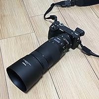 Amazon | シグマ(Sigma) SIGMA シグマ EF-E用 キヤノン⇔ソニーE