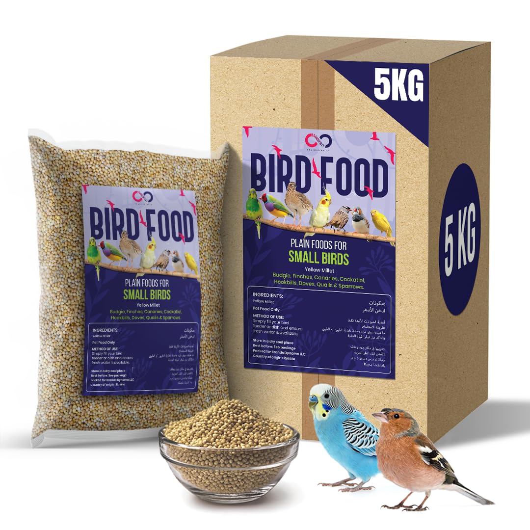 Brandsfinity 5kg Plain Bird Food for Small Birds, 100% Yellow Millet Seeds, Ideal for Budgies, Canaries, Love Birds, Zebra Finches, Easy-to-Serve Bird Feed for Bird Feeders and Outdoor Bird Houses