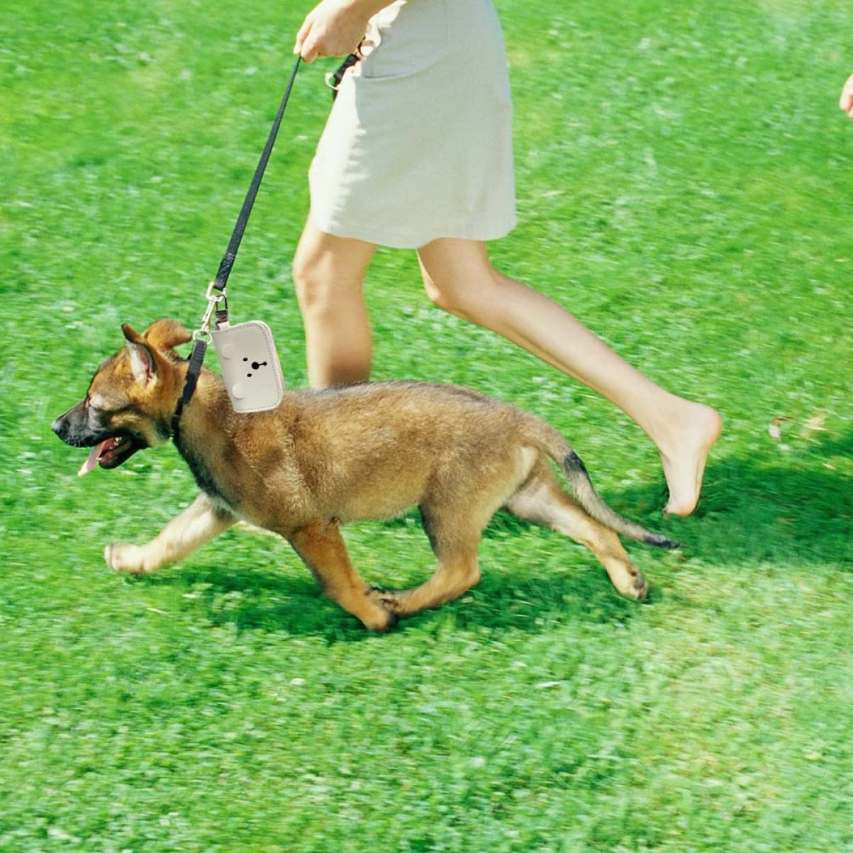 Didiseaon Sacchetto per Escrementi di Cane Robusto Sacchetto per Escrementi di Cane Borsa Portaoggetti Portatile Stile Coreano Orso Uso Duraturo