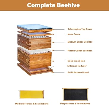 10-Frame Complete Bee Hives and Supplies Starter Kit Dipped in 100% Beeswax, Includes 1 Deep Hive Bee Box and 1 Bee Hive Super with Acrylic Window, Beehive Frames and Foundation for Beekeepers