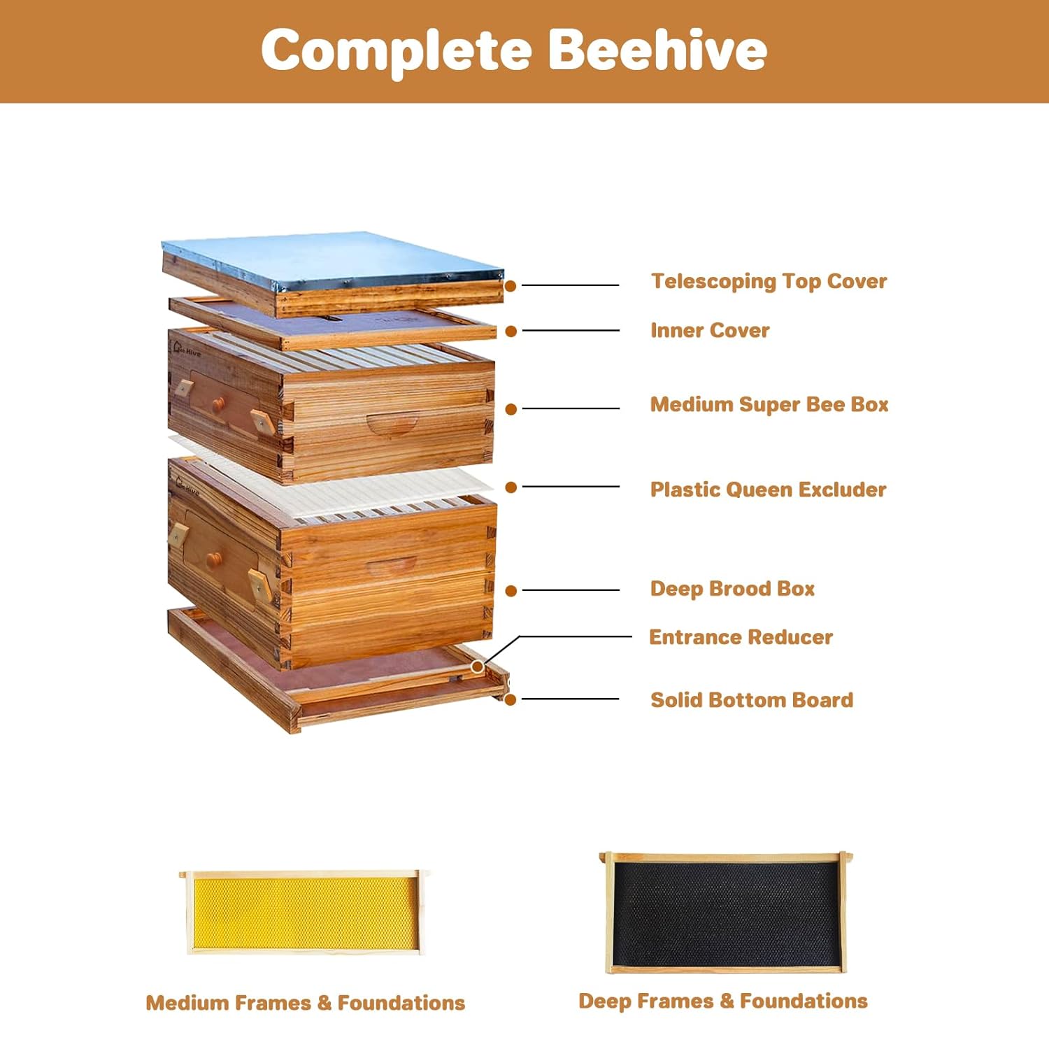 10-Frame Complete Bee Hives and Supplies Starter Kit Dipped in 100% Beeswax, Includes 1 Deep Hive Bee Box and 1 Bee Hive Super with Acrylic Window, Beehive Frames and Foundation for Beekeepers