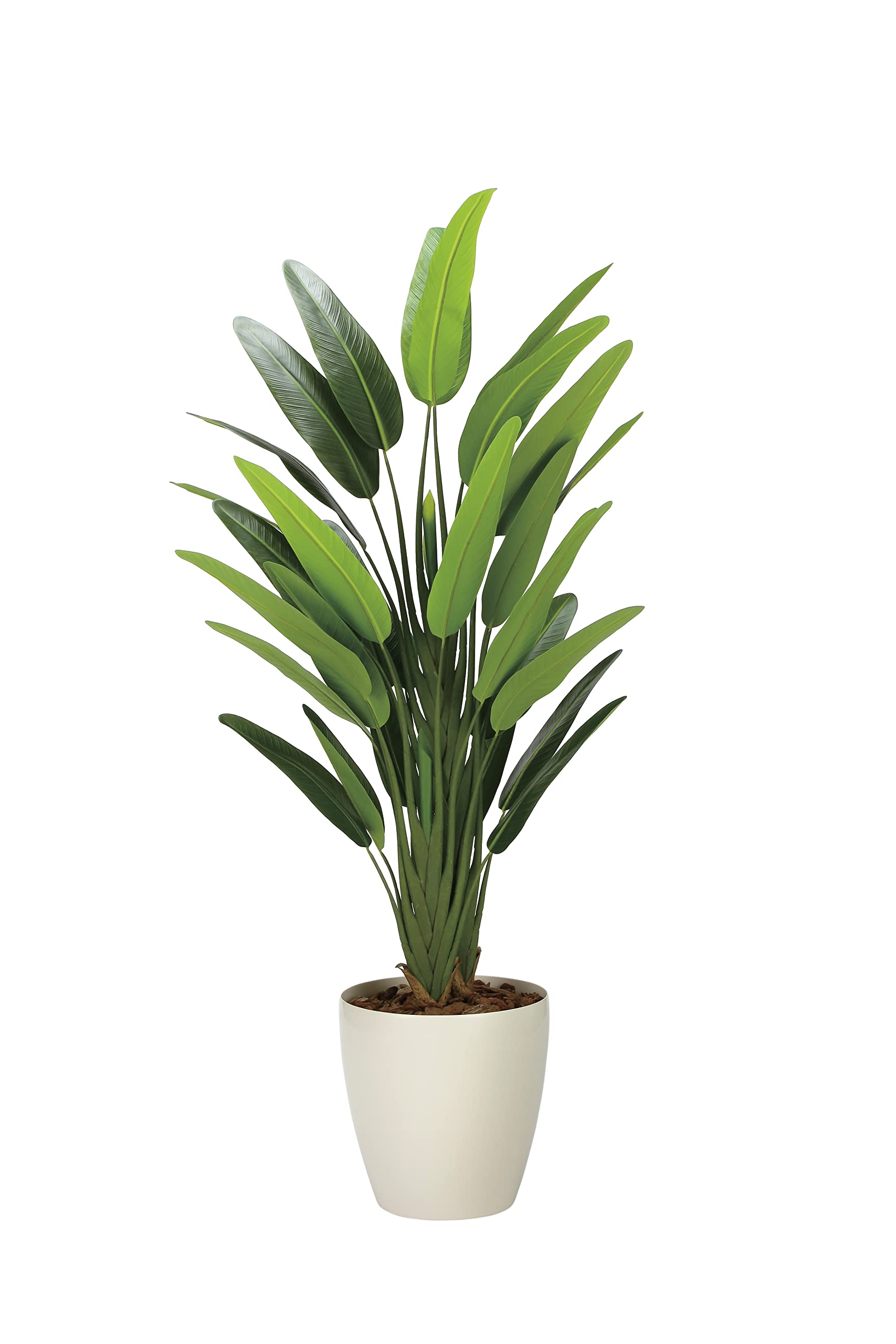 Amazon｜光触媒 人工観葉植物 光の楽園 フレッシュトラベラーズパーム