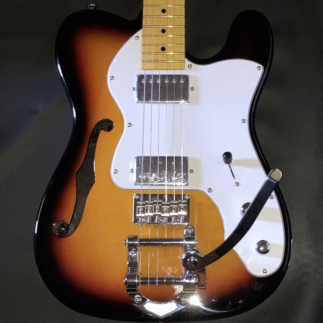 （ダイナマン）ドナー シンライン ホロウボディ bigsbyタイプ ダイナマン）ドナー シンライン ホロウボディ bigsbyタイプ