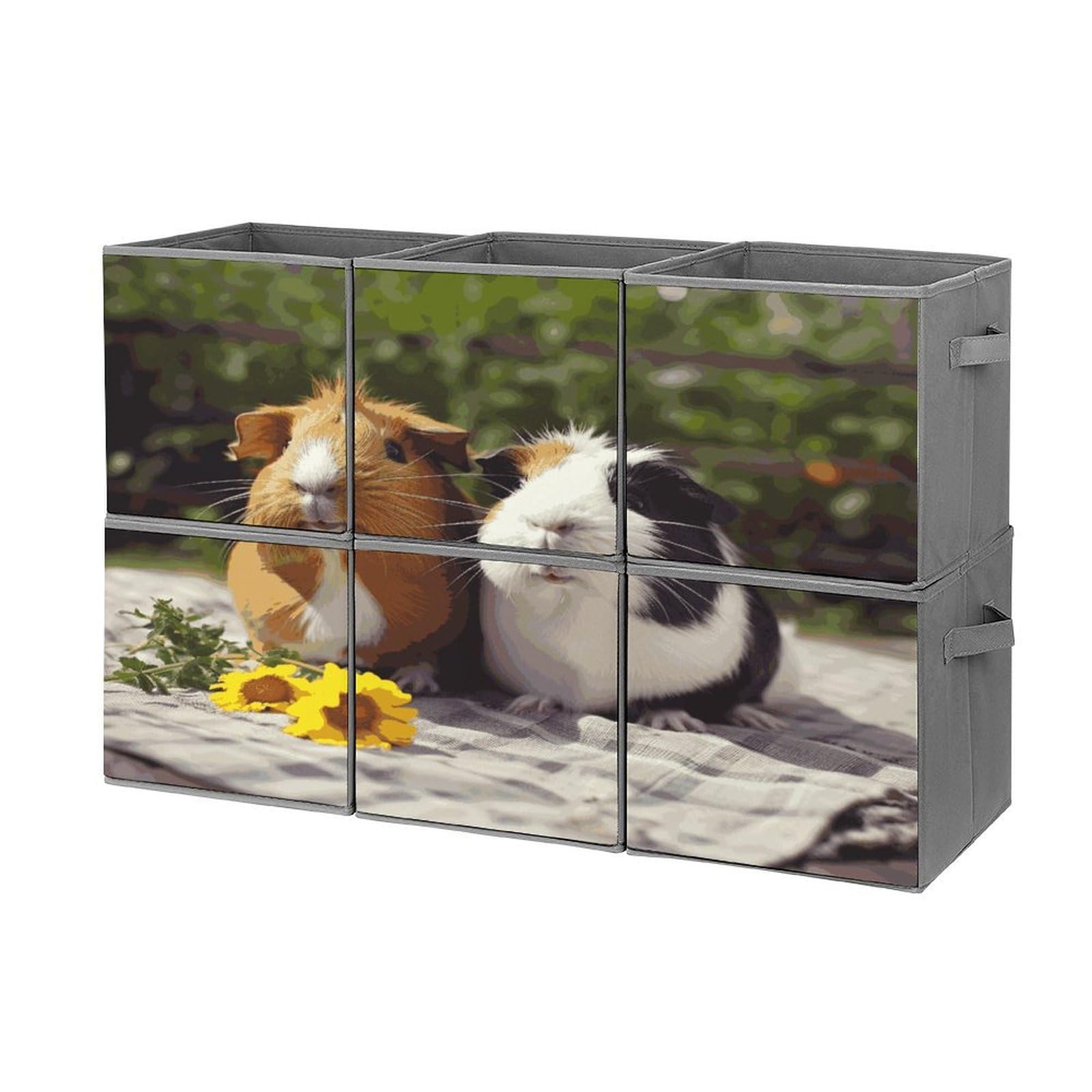 Btcowzrv Style Guinea Pigs Funny Storage Cubes, 6 Pack Oxford Fabric Foldable Collapsible Bins With Handles, Cubby Storage Baskets Boxes For Closet Shelves Office Organization