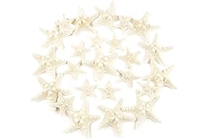 Jangostor Mixed Starfish: Natural Treasures for Creative Delights