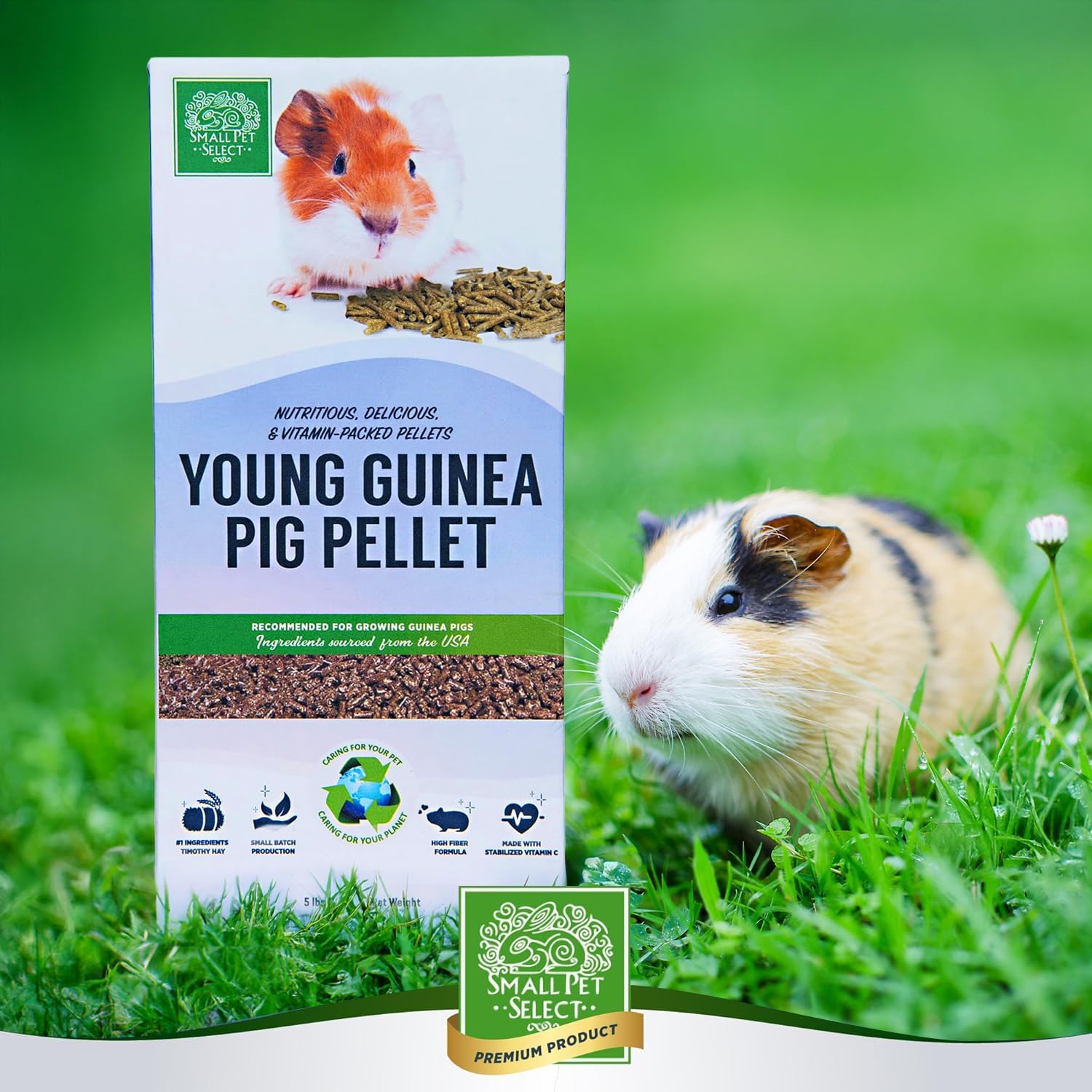 Small Pet Select - Young Guinea Pig Pellet Food, 10lb (Two Pack, 5lb)
